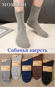 Мужские термоноски из собачьей шерсти MORRAH
